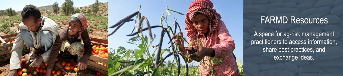 FARMD Resources Section Banner, farmers in rice paddy, woman holding child